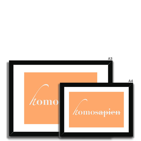 homosapiens Framed & Mounted Print