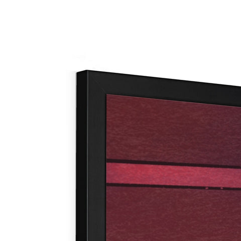 Bounded And Milked Framed Print